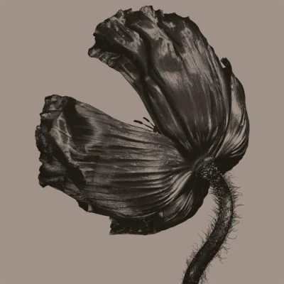 Afbeelding van Pet Shop Boys Release (LP)