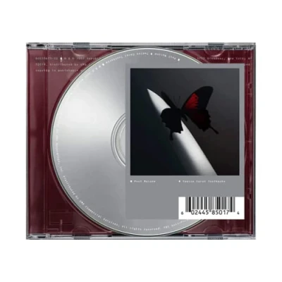 Afbeelding van Post Malone Twelve Carat Toothache (CD)