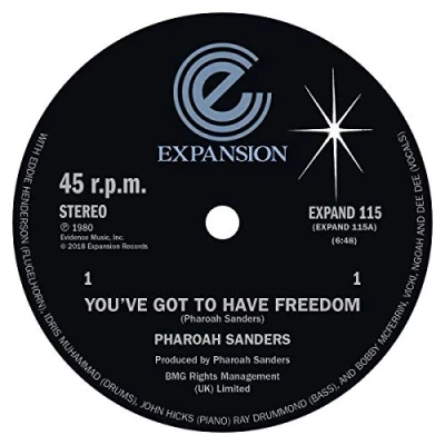 Afbeelding van You&#039;ve Got To Have Freedom/Got Give It Up
