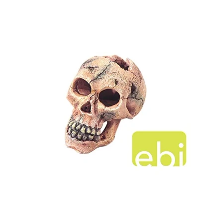 Afbeelding van Ebi Aquarium Decoratie Schedel Aap 11 cm