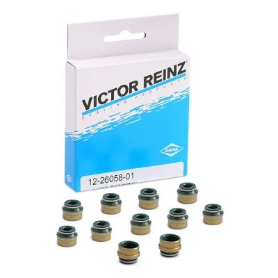 Afbeelding van Reinz Klepsteeldichting 12 26058 01