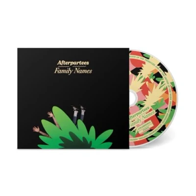Afbeelding van Afterpartees Family Names (LP)