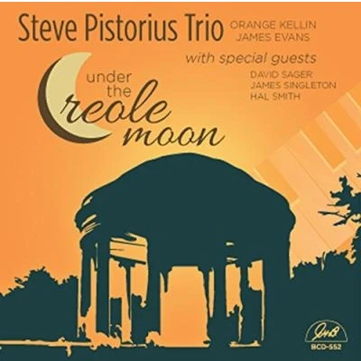 Afbeelding van Steve Pistorius Under The Creole Moon (CD)