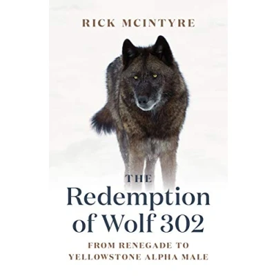 Afbeelding van The Alpha Wolves of Yellowstone Series Redemption Wolf 302