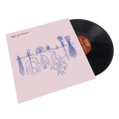 Image de A New Kind Of Love