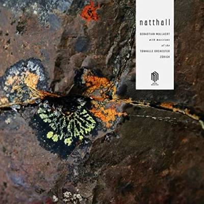 Afbeelding van Sebastian Mullaert Natthall (2 LPs)