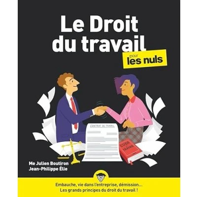 Afbeelding van LE DROIT DU TRAVAIL POUR LES NULS