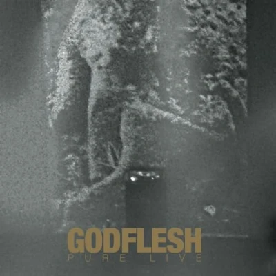 Afbeelding van Godflesh Pure Live (2 LP) (Coloured Vinyl)