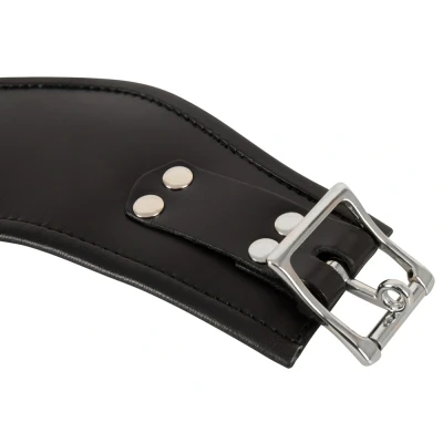 Afbeelding van Stevige Halsband Met D Ring