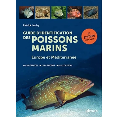 Afbeelding van Guide d&#039;identification des poissons marins