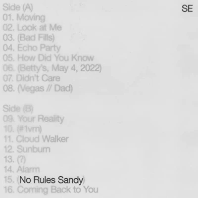 Afbeelding van Sylvan Esso No Rules Sandy (LP)