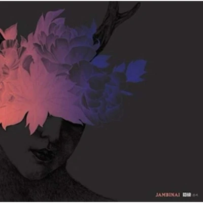 Afbeelding van Jambinai A Hermitage (LP)