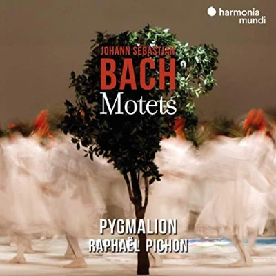 Afbeelding van Ensemble Pygmalion Johann Sebastian Bach: Motets (CD)