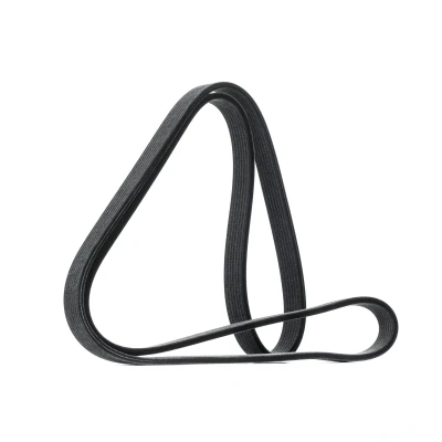 Afbeelding van Poly V riem DAYCO 7DPK1697