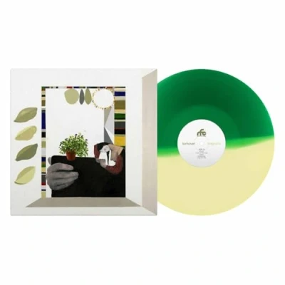 Afbeelding van Turnover Magnolia (LP)