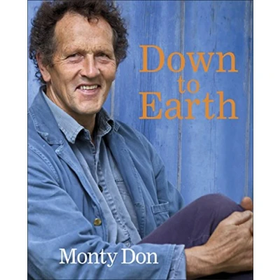 Afbeelding van Down to Earth