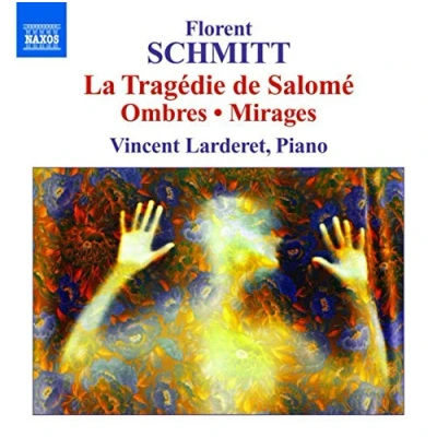 Afbeelding van Vincent Lardelet Ombres (CD)