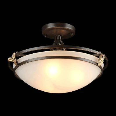Afbeelding van Maytoni Combinare plafondlamp glazen kap rustikal