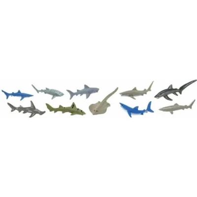 Image de Tubo les requins