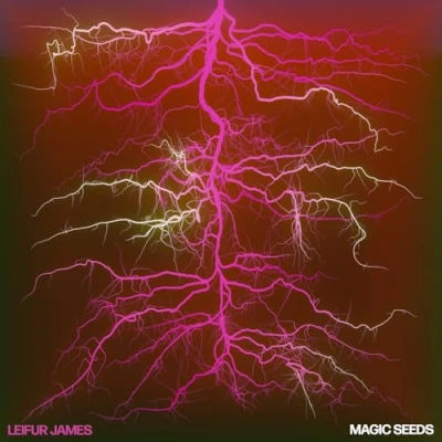 Afbeelding van Leifur James Magic Seeds (LP)