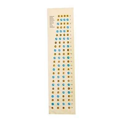 Afbeelding van WANDIC 1 x bastoetssticker keycaps, frets, zelfklevende beginnerskaart, praktische 4 snarige basgitaar, meerkleurig