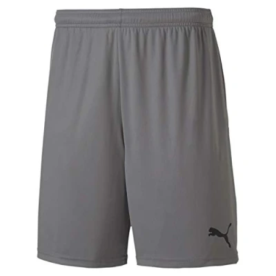 Afbeelding van PUMA Herren teamGOAL 23 knit Shorts, Steel Gray, S