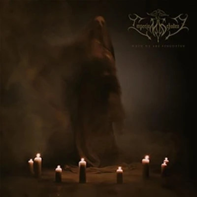 Afbeelding van Imperium Dekadenz When We Are Forgotten (2 LPs)