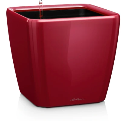 Afbeelding van Lechuza Quadro premium 43 LS Scharlakenrood hoogglans