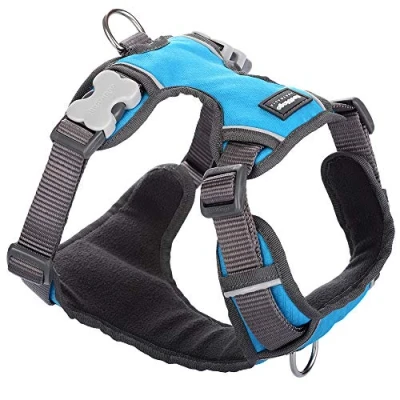 Afbeelding van Red Dingo Tuig Padded Harness body omvang 31 43cm DH PH TQ XS