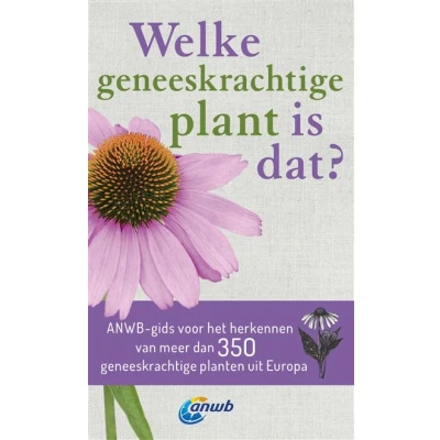 Image de Welke geneeskrachtige plant is dat?