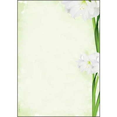 Afbeelding van SIGEL DP463 briefpapier, 21 x 29,7 cm, 90 g/m², wit, groen, 25 vellen