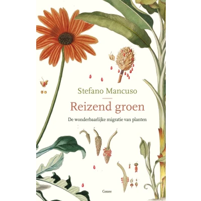 Afbeelding van Reizend groen