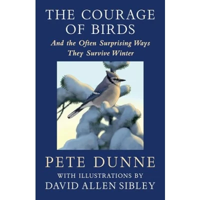 Afbeelding van The Courage of Birds