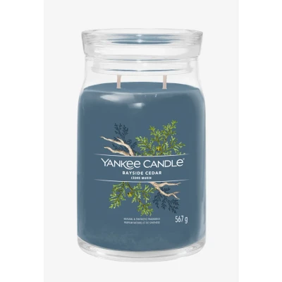 Afbeelding van Yankee Candle Signature Large JAR Bayside Cedar Geurkaars, Maat: 569 g, Blue
