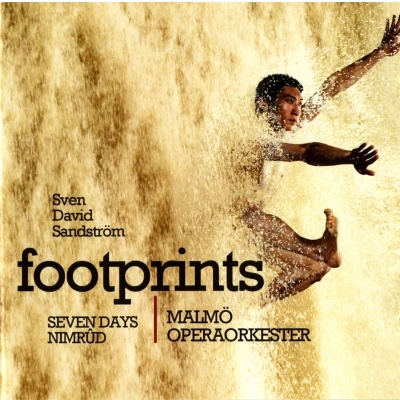 Afbeelding van Various Artists Footprints (2 CD)