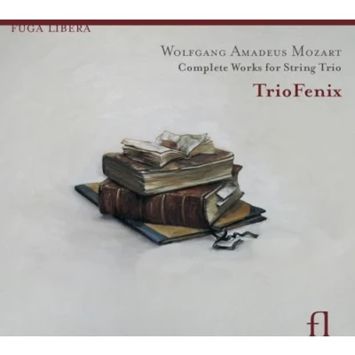Afbeelding van Trio Fenix Complete Works For String (2 CD)