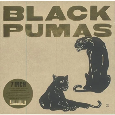 Afbeelding van Black Pumas