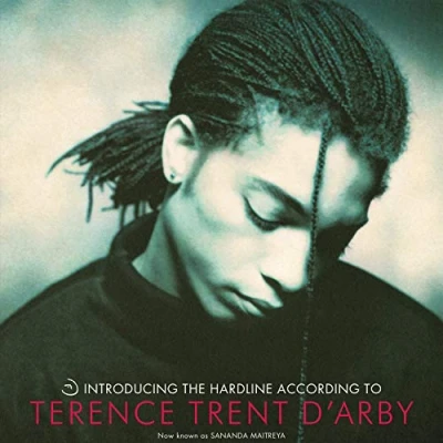 Afbeelding van Sananda Maitreya Introducing the Hardline According To Terence Trent D&#039;arby (LP)