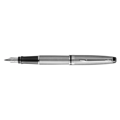 Afbeelding van Vulpen Waterman Expert stainless steel CT medium
