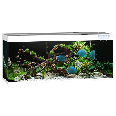 Afbeelding van Juwel Aquarium Rio 450 Led 151x51x66 cm Aquaria Wit Ca. L