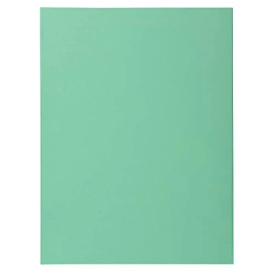 Afbeelding van Exacompta Ref. 330021E verpakking van 100 stuks Super 210 g/m² in pastelkleuren PEFC gecertificeerde hoesjes afmetingen 24 x 32 cm voor A4 formaat kleur: lichtgroen