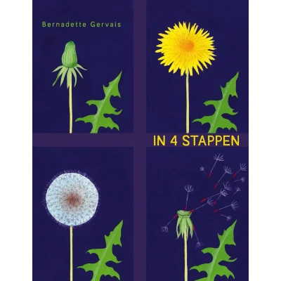 Afbeelding van In 4 stappen
