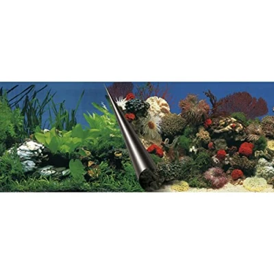 Afbeelding van Europet Foto Achterwand Stone+coral 80x40 cm