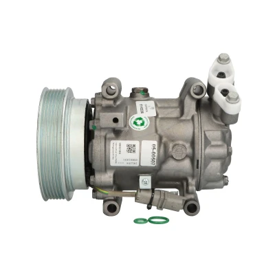 Afbeelding van ELSTOCK 51 0226 AC Compressor PAG 46 R134a Met pakkingen NISSAN: MICRA 3, Note I, Juke, RENAULT: Kangoo II Express, CLIO 3