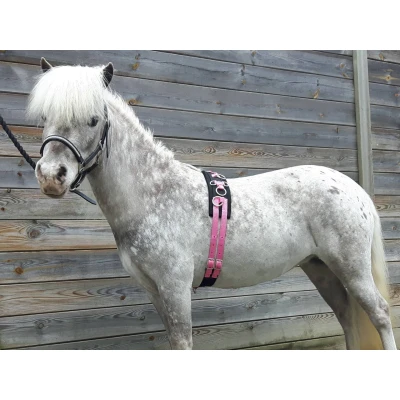 Image de HB Surfaix de Longe Little Sizes Rose Minishetland
