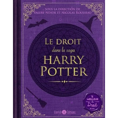 Afbeelding van LE DROIT DANS LA SAGA HARRY POTTER