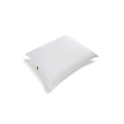 Afbeelding van Beter Bed Select Hoofdkussen Duurzaam driekamer dons 60 x 70 cm