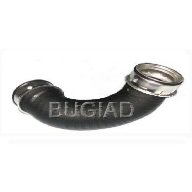 Afbeelding van Laadluchtslang BUGIAD 81603