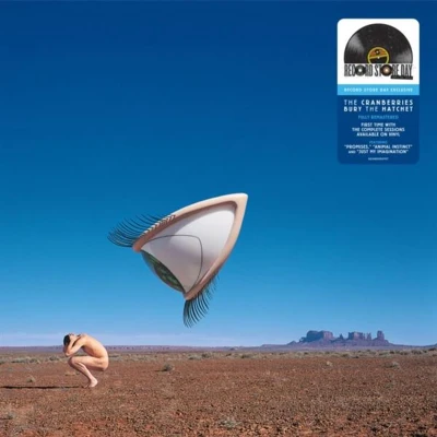 Afbeelding van Cranberries Bury The Hatchet (LP)
