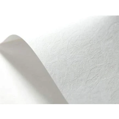 Afbeelding van Netuno 40 vellen structuurpapier wit geruit DIN A5 148 x 210 mm 246 g ivoorkleurig extra reliëf karton voor visitekaartjes, uitnodigingskaarten, oorkonden, diploma&#039;s